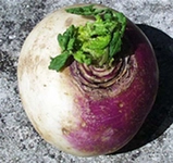 Şalgam Faydaları Nelerdir? Şalgam Faydaları Nelerdir?